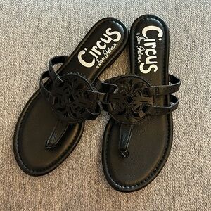 Sam Edelman Circus Black Slide-on Sandals